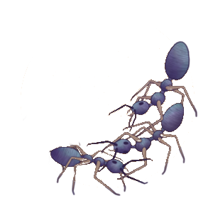 Illustration of a group of ants